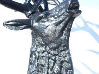 Elk on Stone (2)